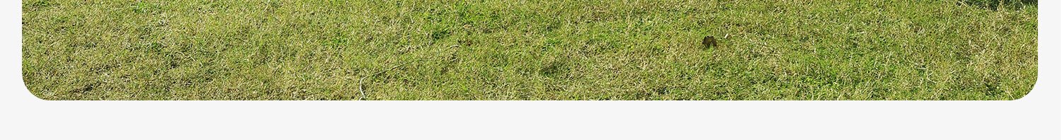 Pickup Auto Inflatable 00d65dc0c67e44e9