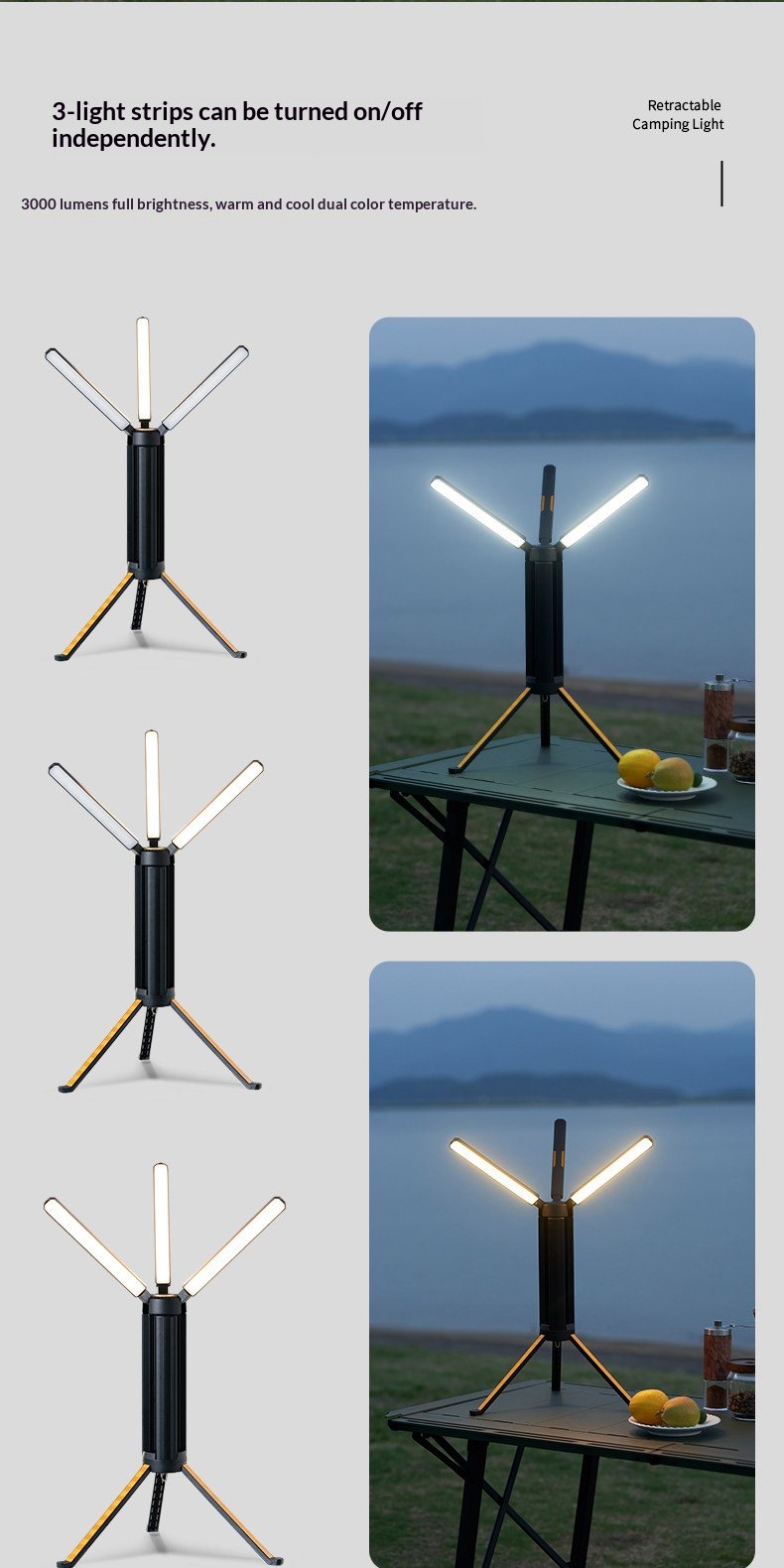 4d666977df164f9f81d9b41e00dba286